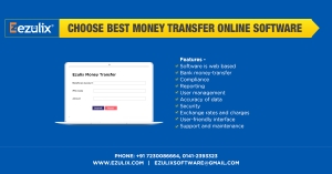 Affordable Money Transfer Software for Business 